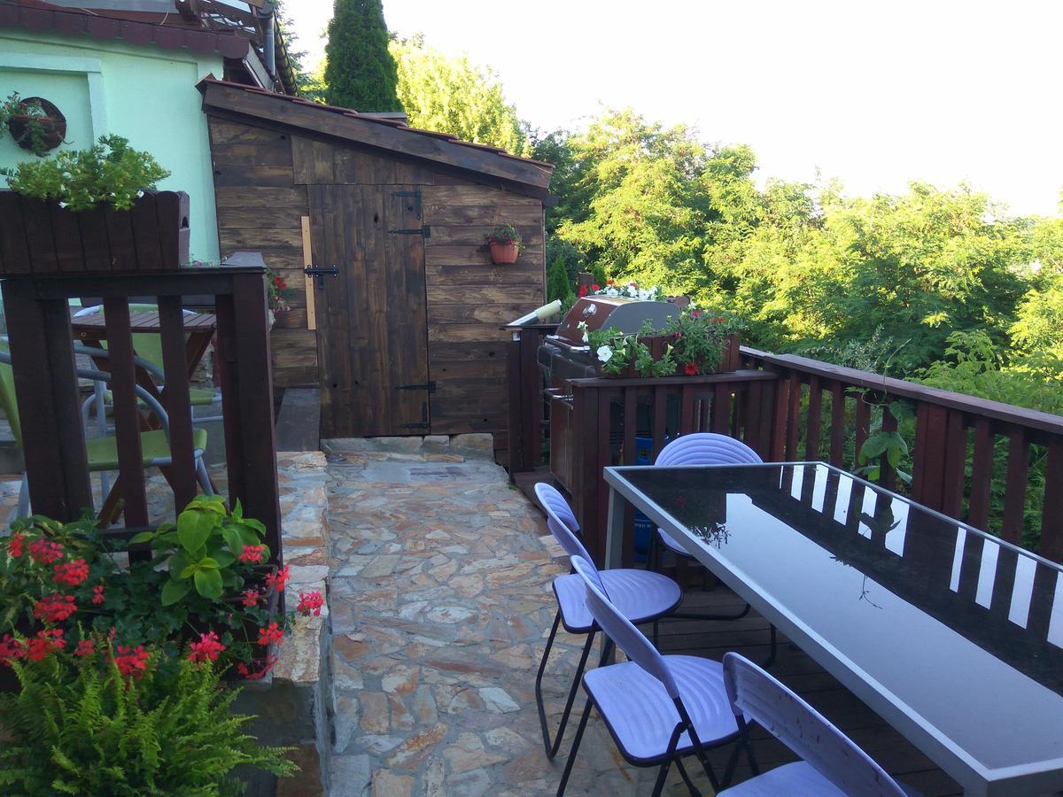 Zielone Wzgorze Na Starowce Apartment Sandomierz Luaran gambar